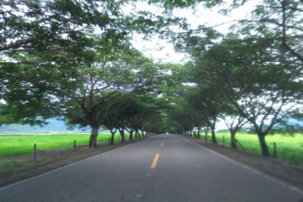 Camino a Nariño
