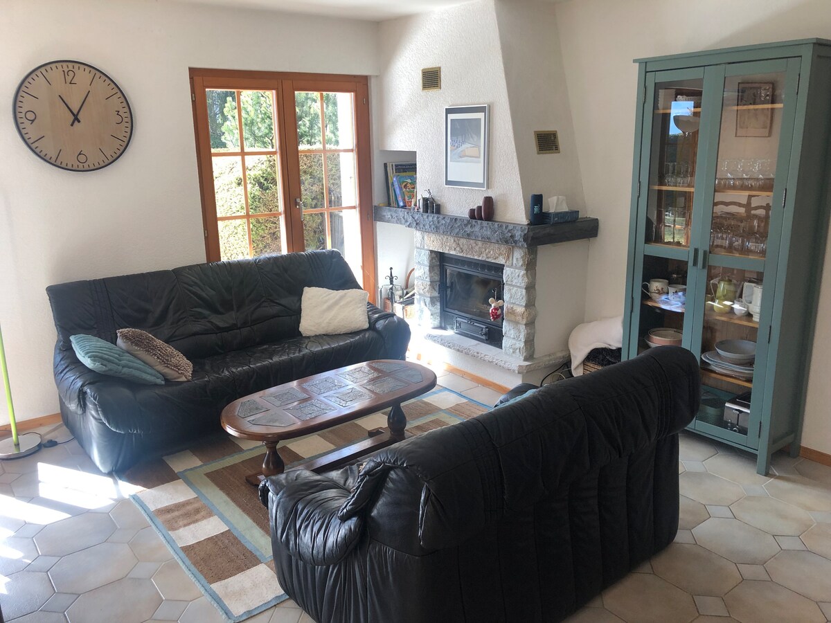Successful Airbnb property: Cozy chalet in Ovronnaz in Leytron