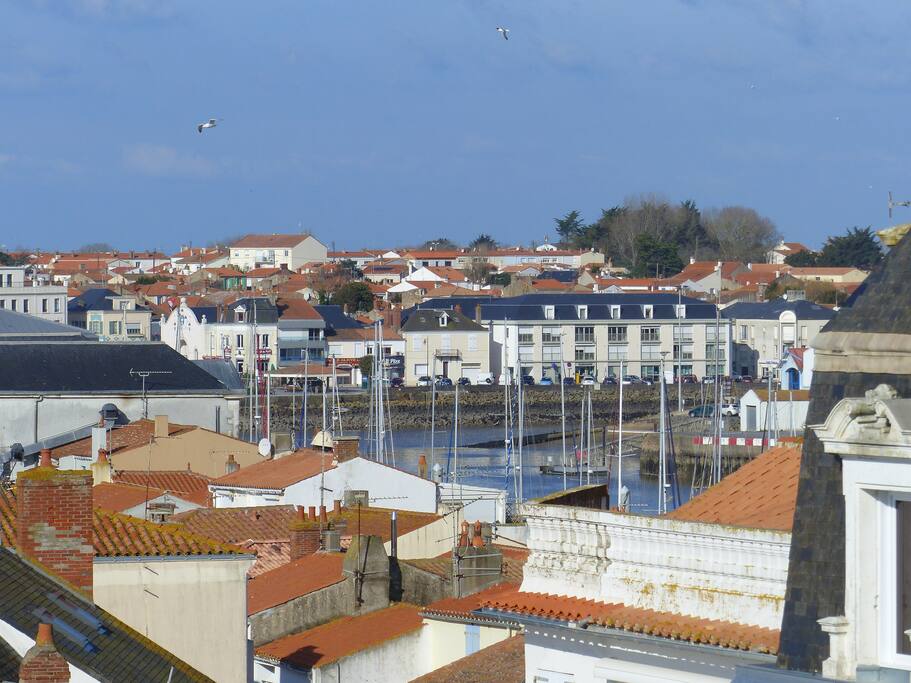 Vue port