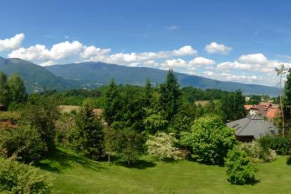 Views from the top floor
