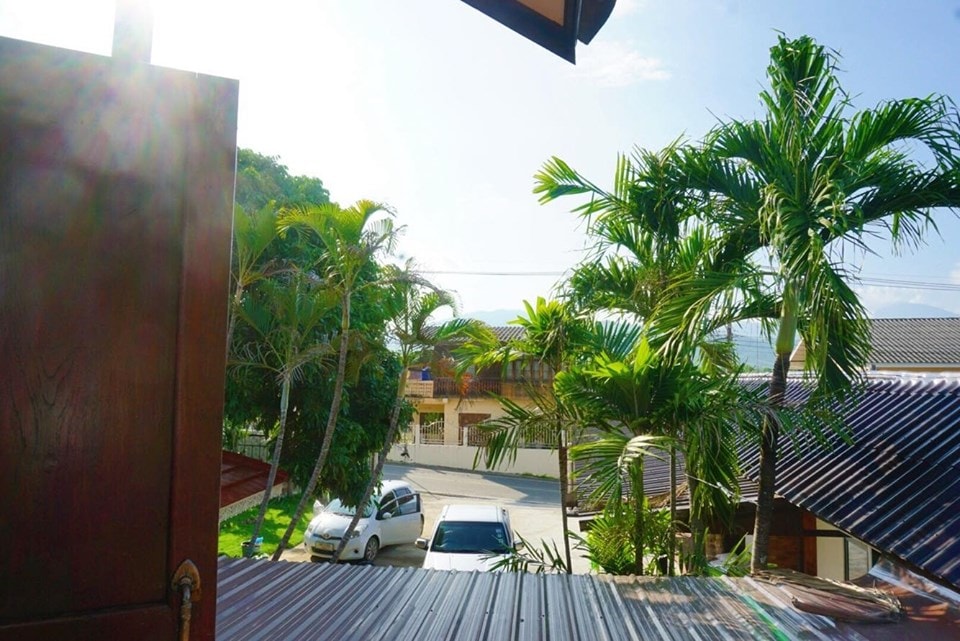 A view from an open window reveals a vibrant scene of palm trees and buildings in the vicinity. Sunlight floods the area, highlighting the greenery and a white vehicle parked along the street, contributing to a sense of local life.