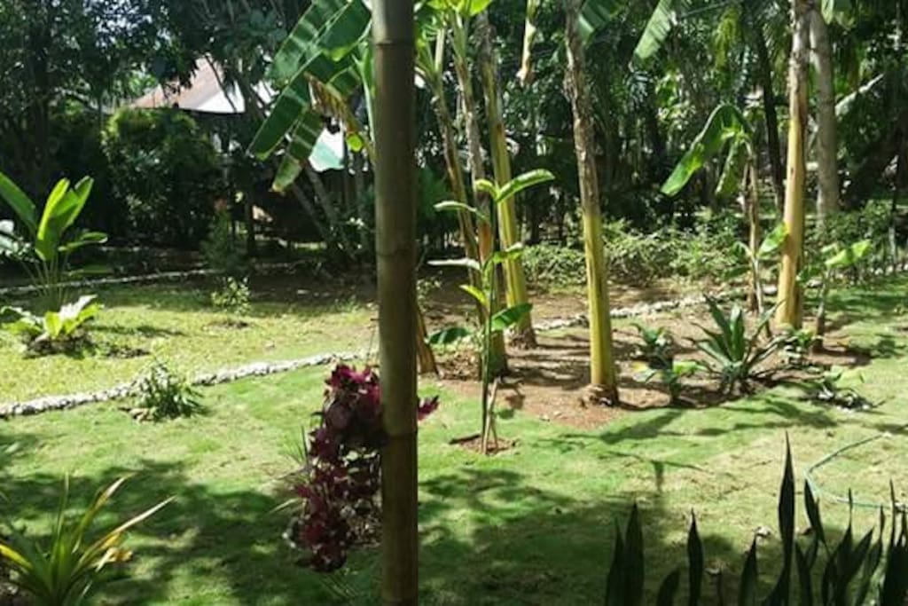 Ums Haus