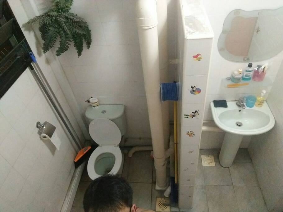 Common toilet