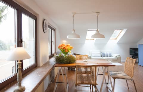 Apart. Roof Floor Mainz close to University, 3room