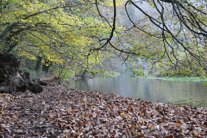 Self contained annex - Peak District riverside