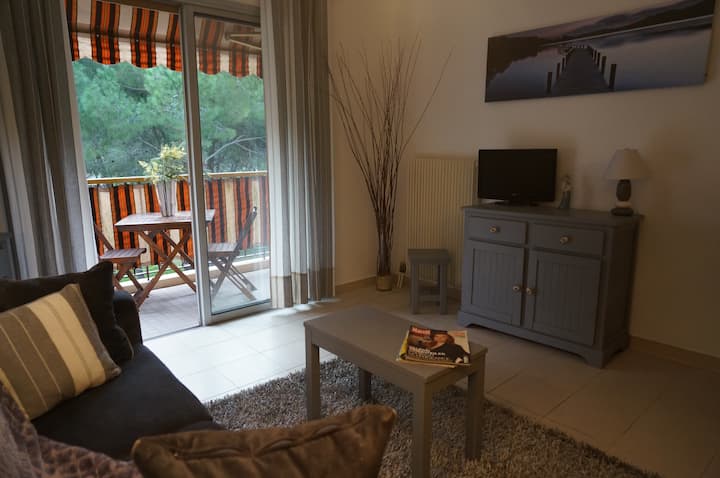 Beau Studio Proche Mer Et Commerces - Côte d'Azur