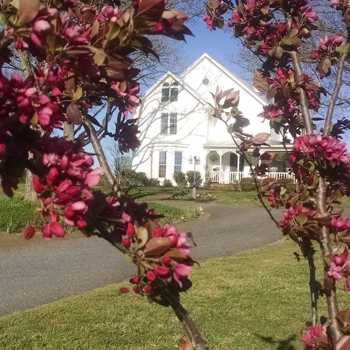 Springtime