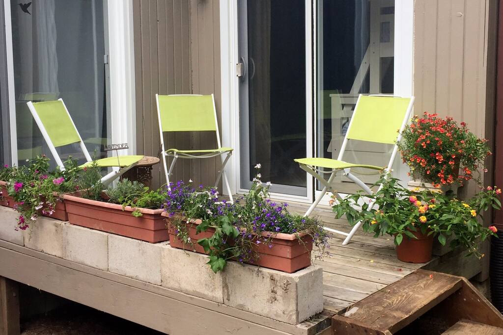 Rent Room In Wiarton Ontario Rent Room In Wiarton Ontario