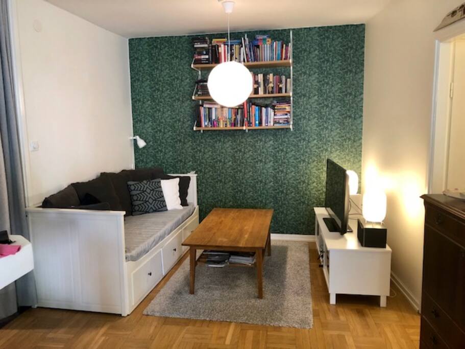 Tv-area with pull out bedsofa