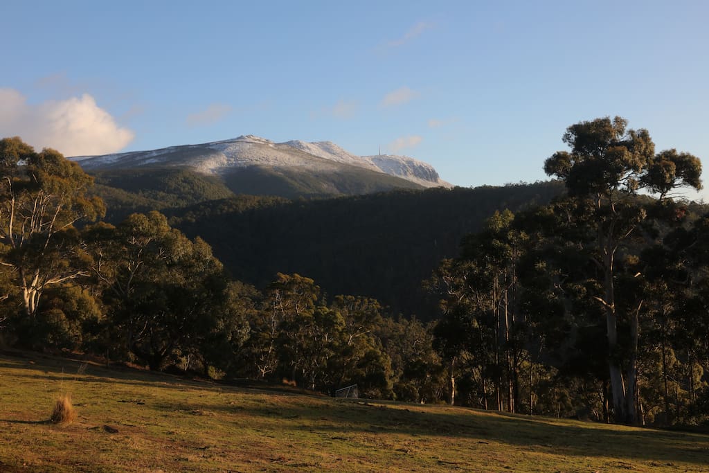 View of Mt Wellington from our main paddock