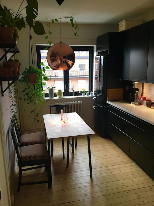 The kitchen