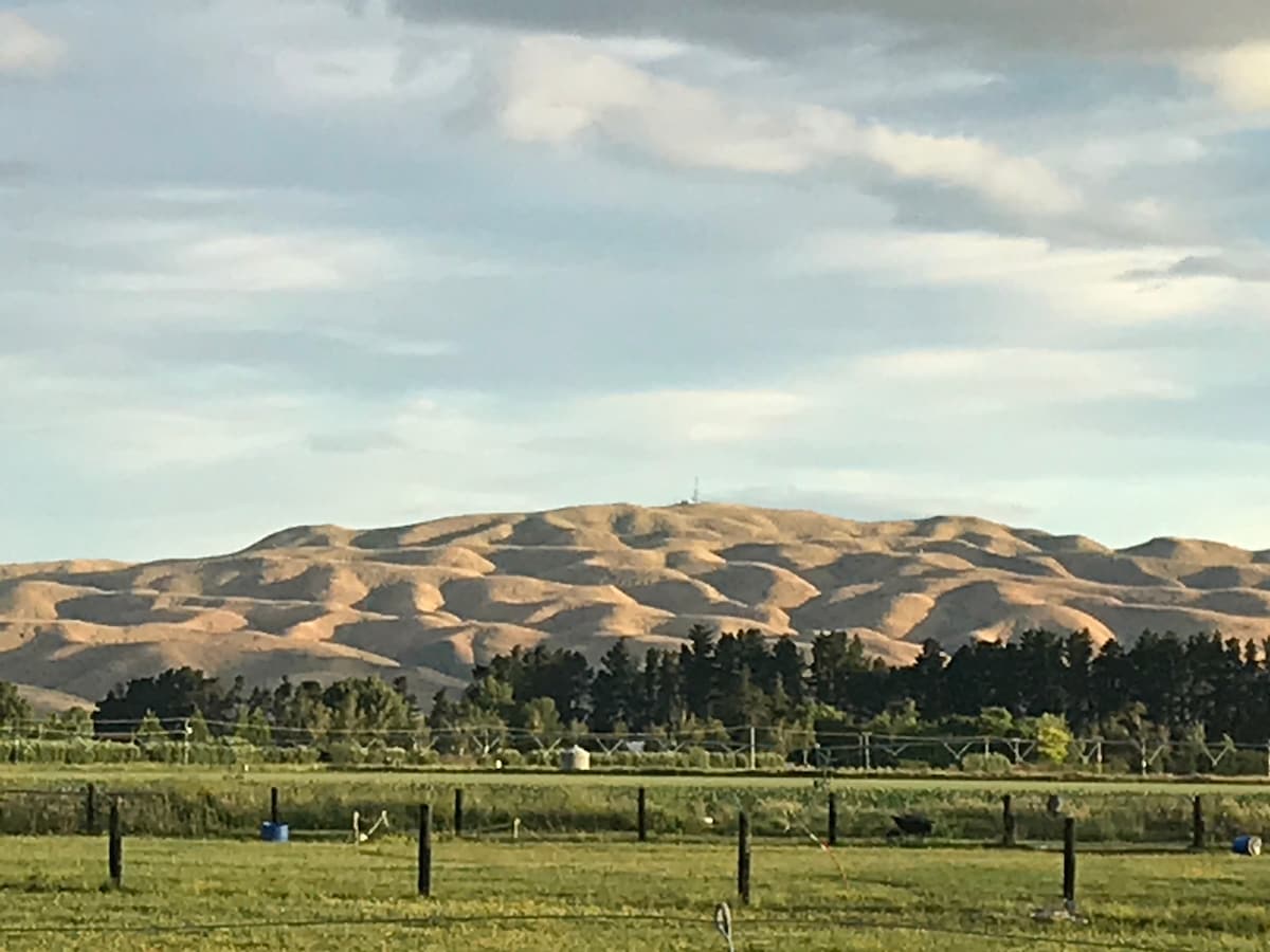 Rolling hills are depicted in the background, softly illuminated by the sun. The slopes feature a gentle gradient with a mixture of green trees at the base, creating a natural contrast against the earthy tones of the hills. A clear sky is visible above, adding depth to the landscape.