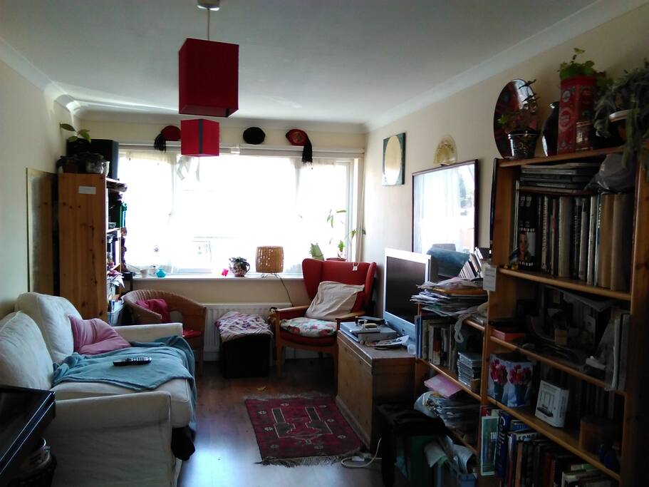 The shared living space.