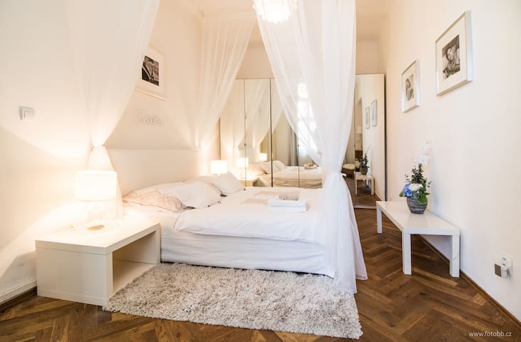 Apartment in the complete center