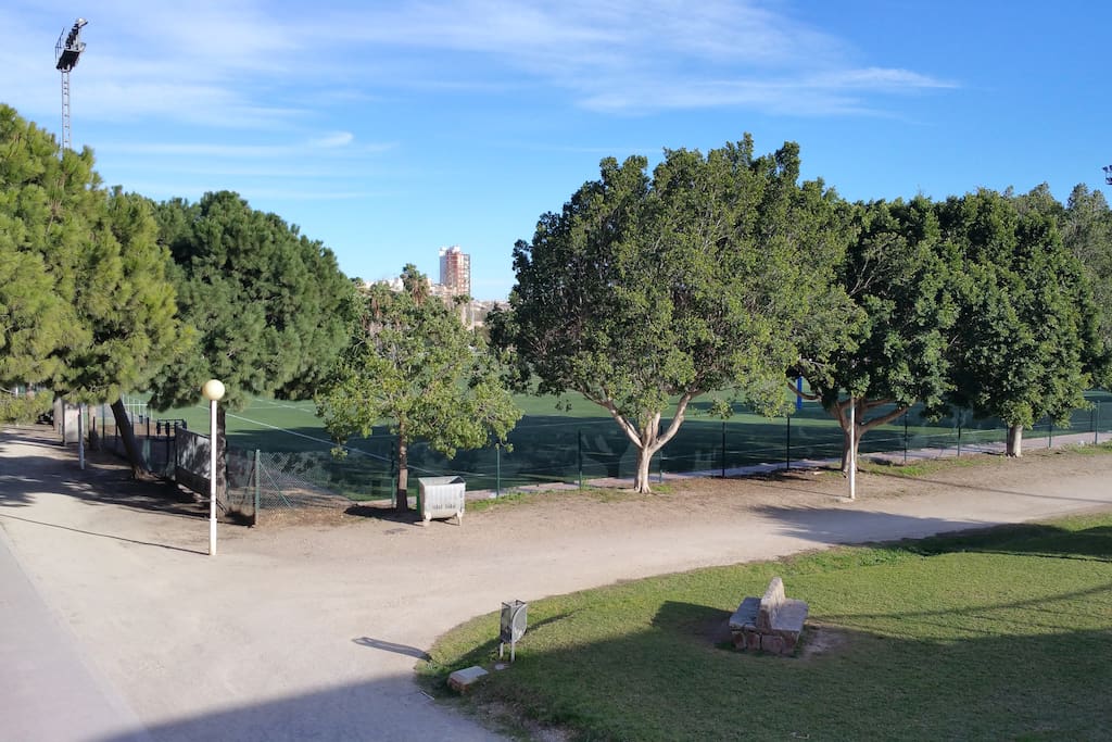 Rio Turia Park just 5 minutes away, great for jogging and biking
