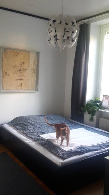 Makuuhuoneessa parisänky.
A double bed in the bedroom.