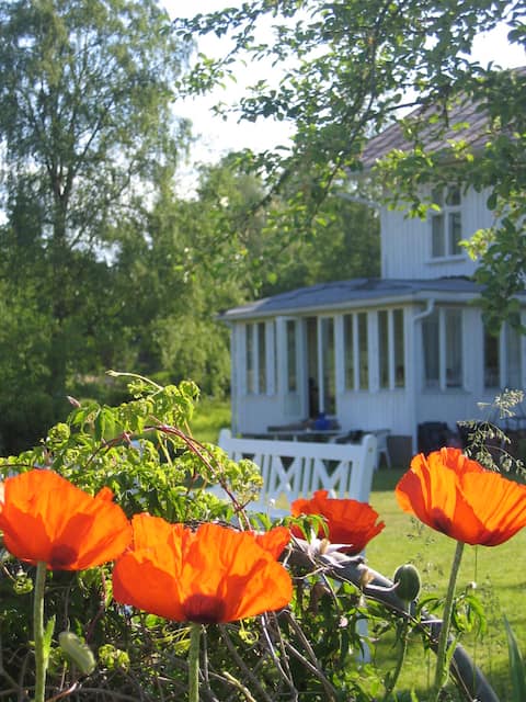 Large villa at the beach, 2 hours from Oslo