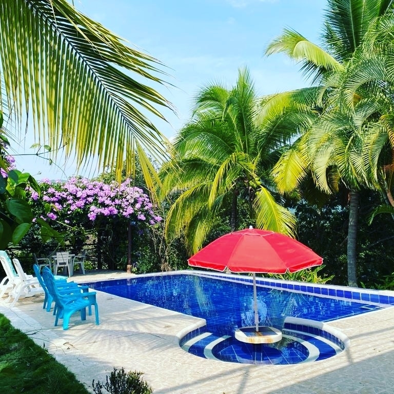 The private pool is framed by lush tropical plants and features a built-in jacuzzi. An umbrella provides shade over the seating area, which includes several blue chairs. Brightly colored flowers enhance the surrounding greenery, contributing to a vibrant outdoor space.