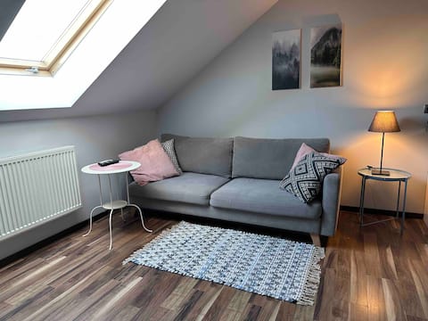 Successful Airbnb property: Apartment in the center of Poznan. Close to everything in Wilda