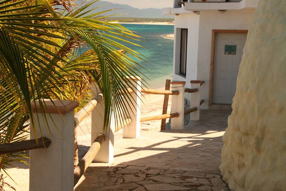 A pathway lined with natural vegetation leads towards the beach, framed by wooden railings and stone walls. The clear blue waters and sandy shore are visible in the distance, inviting a sense of tranquility. Sunlight filters through the palm leaves, creating a warm atmosphere.