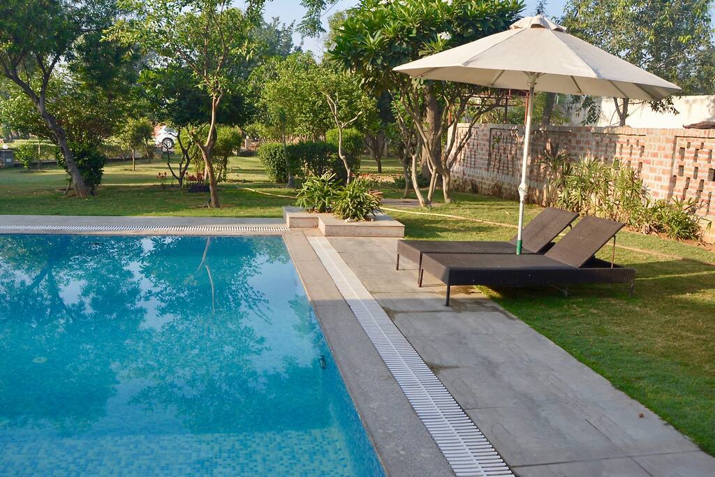 Swimming Pool Sun Beds