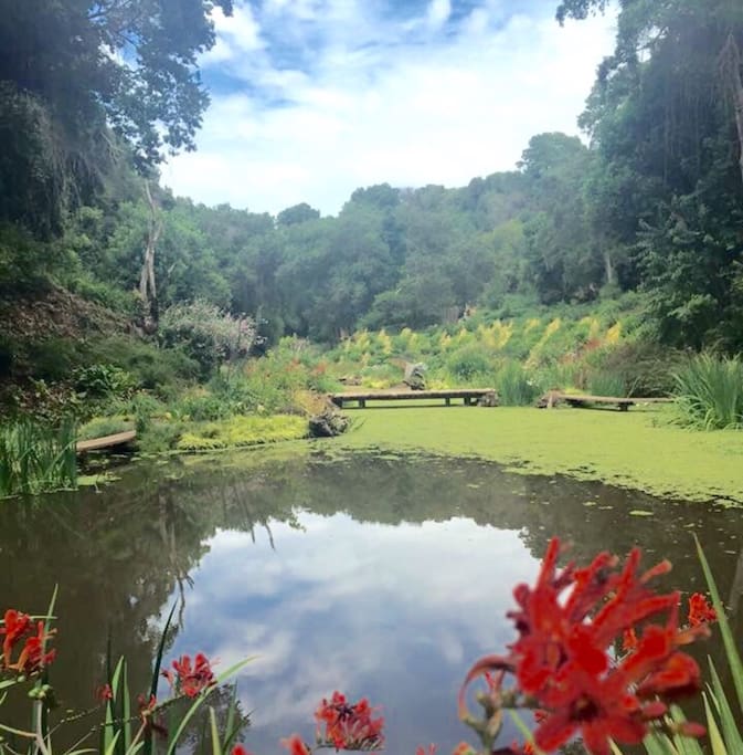 Gyverni garden. Jardin Gyverni. En parque Tricao.