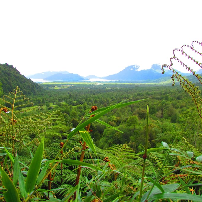 vista de Hornopiren desde el sendero a las cascadas