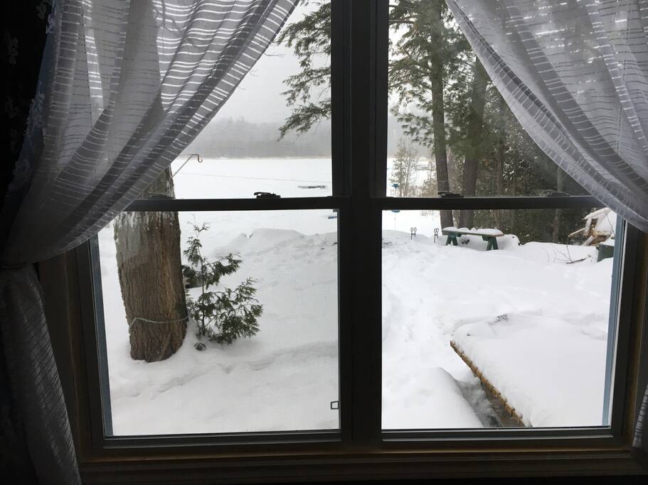 Winter View