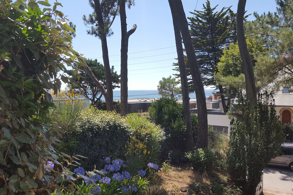 Le jardin aux agapanthes