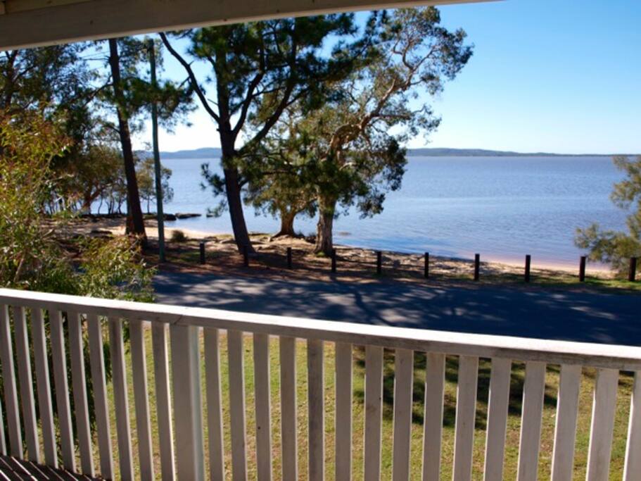 The front yard