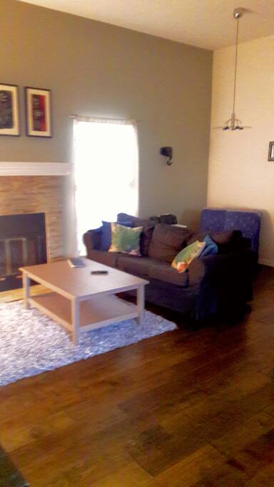 Couch and foldout twin cot