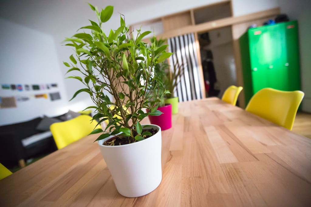 Take a seat in the comfy chairs in the big living room and start your day with a breakfast on the large wooden table