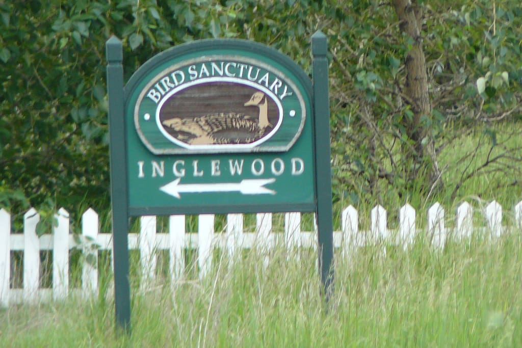 Inglewood bird sanctuary 10 minutes walk on quiet avenue