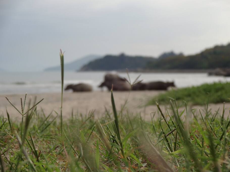 pui o beach