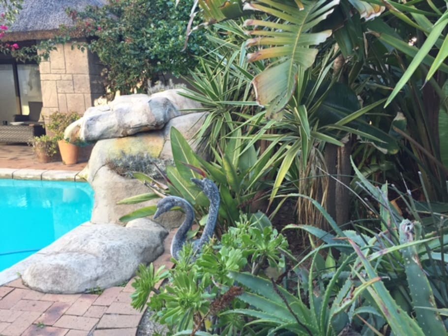Pool and terrace