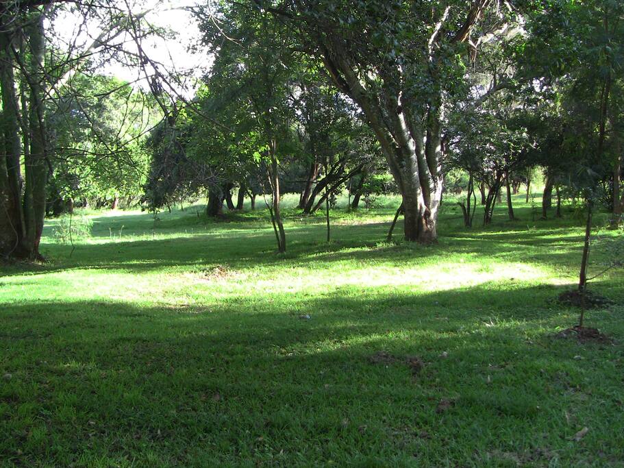 Spacious gardens.