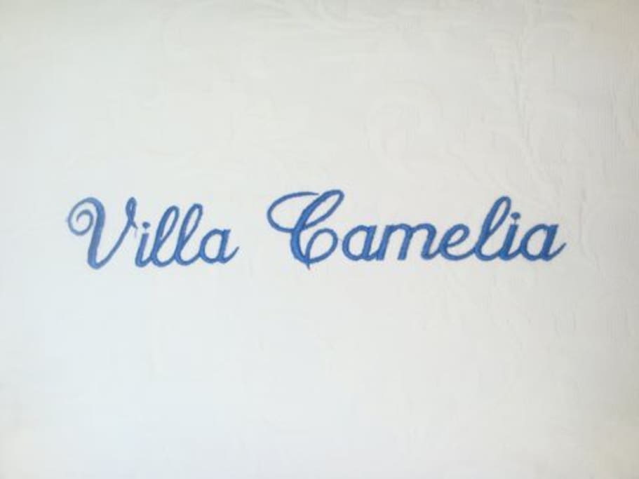Welcome to Villa Camelia overlooking the Bay of Acapulco
