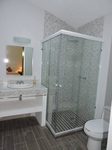 La Casita de Coyoacán (Casa completa 21 huéspedes) gallery image 4