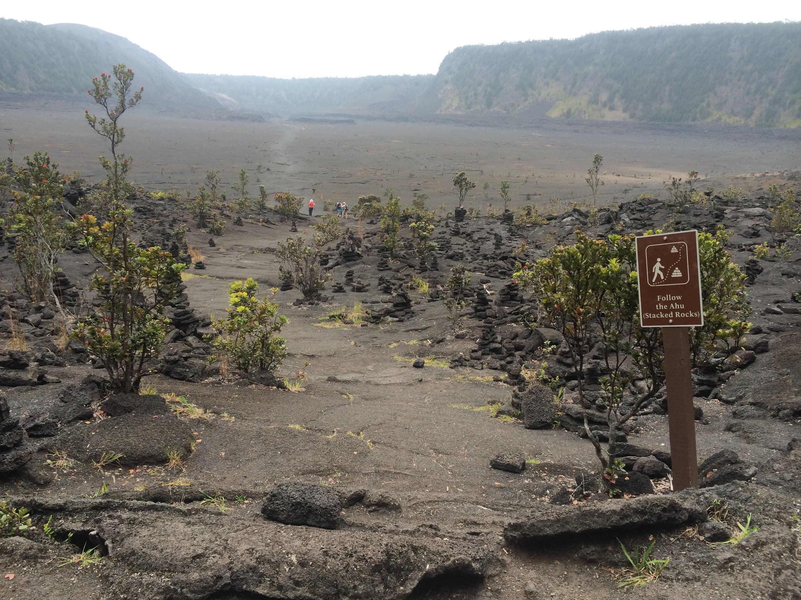 Explorer's Bungalow - Explore Volcanoes NP! - Photo 43