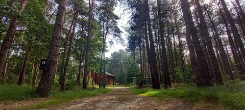 Cozy family cottage in the Kempense forests