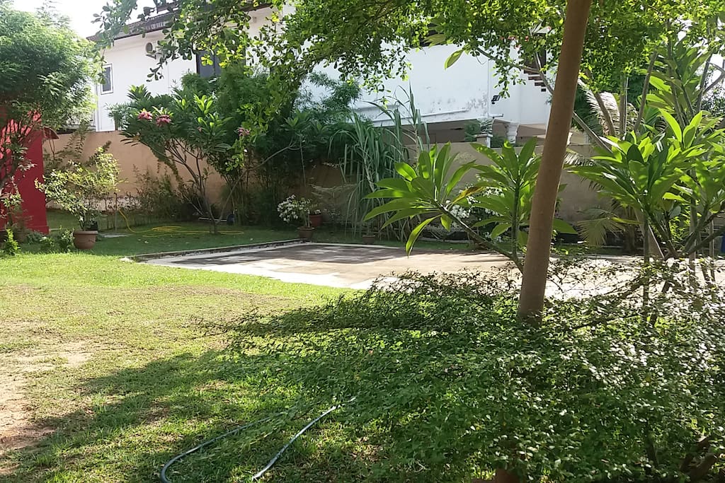 As the gate open, the garden greets you.