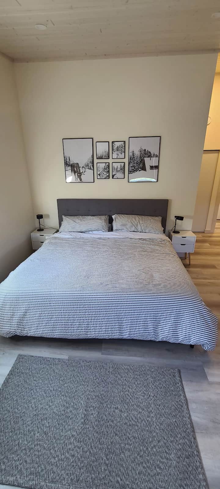 Tundra Room. King Size bed and foldout couch 