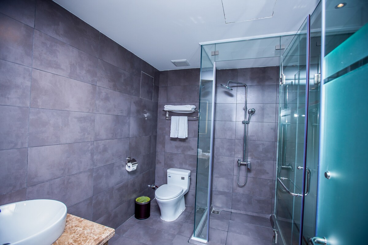 An accessible bathroom features modern fixtures with a glass shower enclosure and a sleek, wall-mounted showerhead. Natural light enters through a frosted window, while towels are neatly hung on a bar. A minimalist sink design is complemented by a small plant placed on the floor.