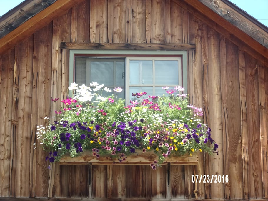 Window Flower Box
