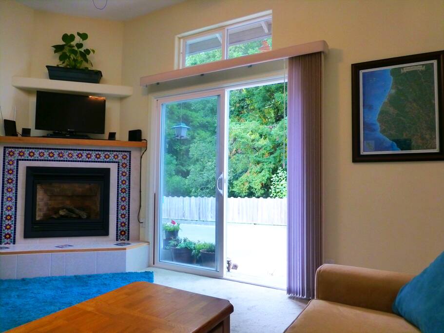 FIREPLACE AND SLIDING DOOR