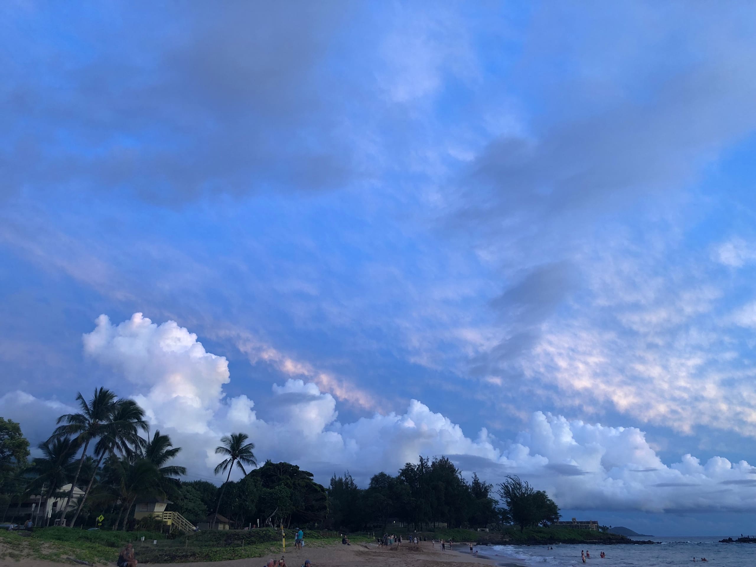 Condo in Kihei · ★4.9 · 1 bedroom · 1 bed · 1 bath - Image 45