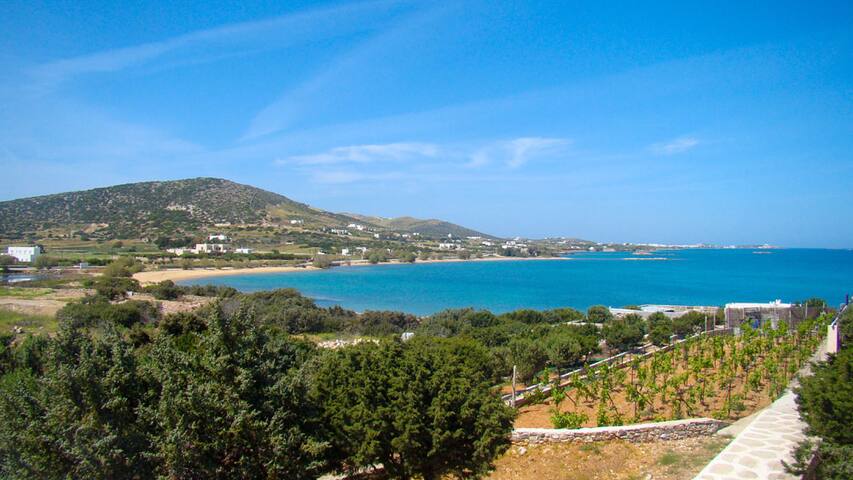 Villa Ilios, beach front Antiparos gallery image 2