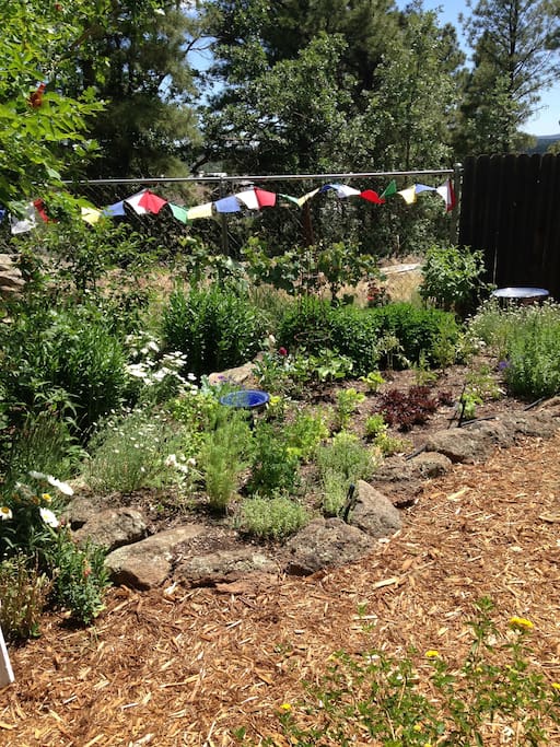 Vegetable and herb garden