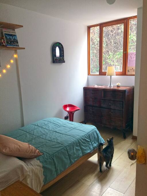 el cuarto tiene buena iluminación y está amueblado, con todo el closet y cajones disponibles para ustedes! /the room has a very good ilumination and a calm atmosphere, it has all the furniture available for your stay (including closet and draws)