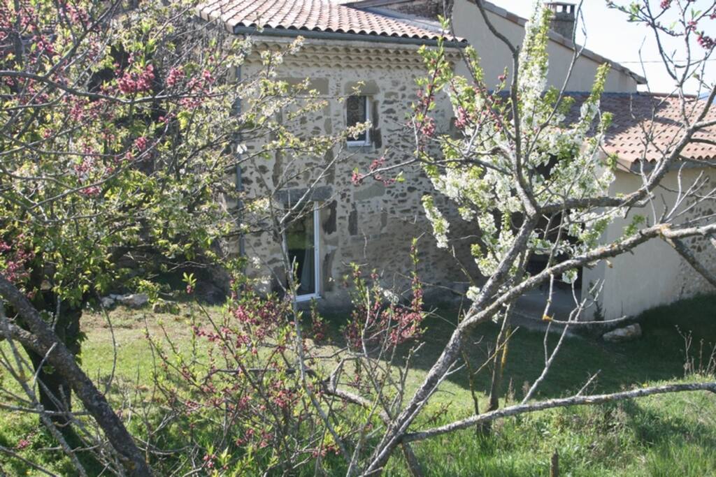 Le jardin
